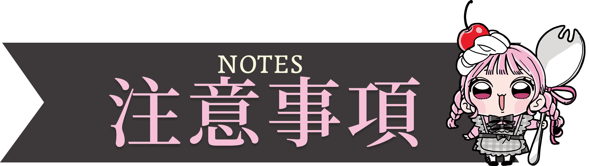 NOTES 注意事項
